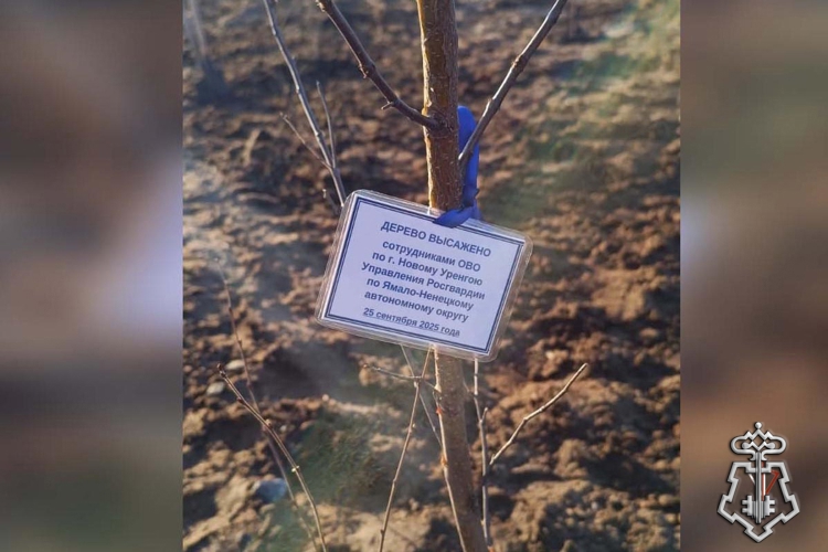 НА ЯМАЛЕ СОТРУДНИКИ РОСГВАРДИИ ЗАЛОЖИЛИ «САД ПАМЯТИ» К 50-ЛЕТИЮ ГОРОДА НОВЫЙ УРЕНГОЙ